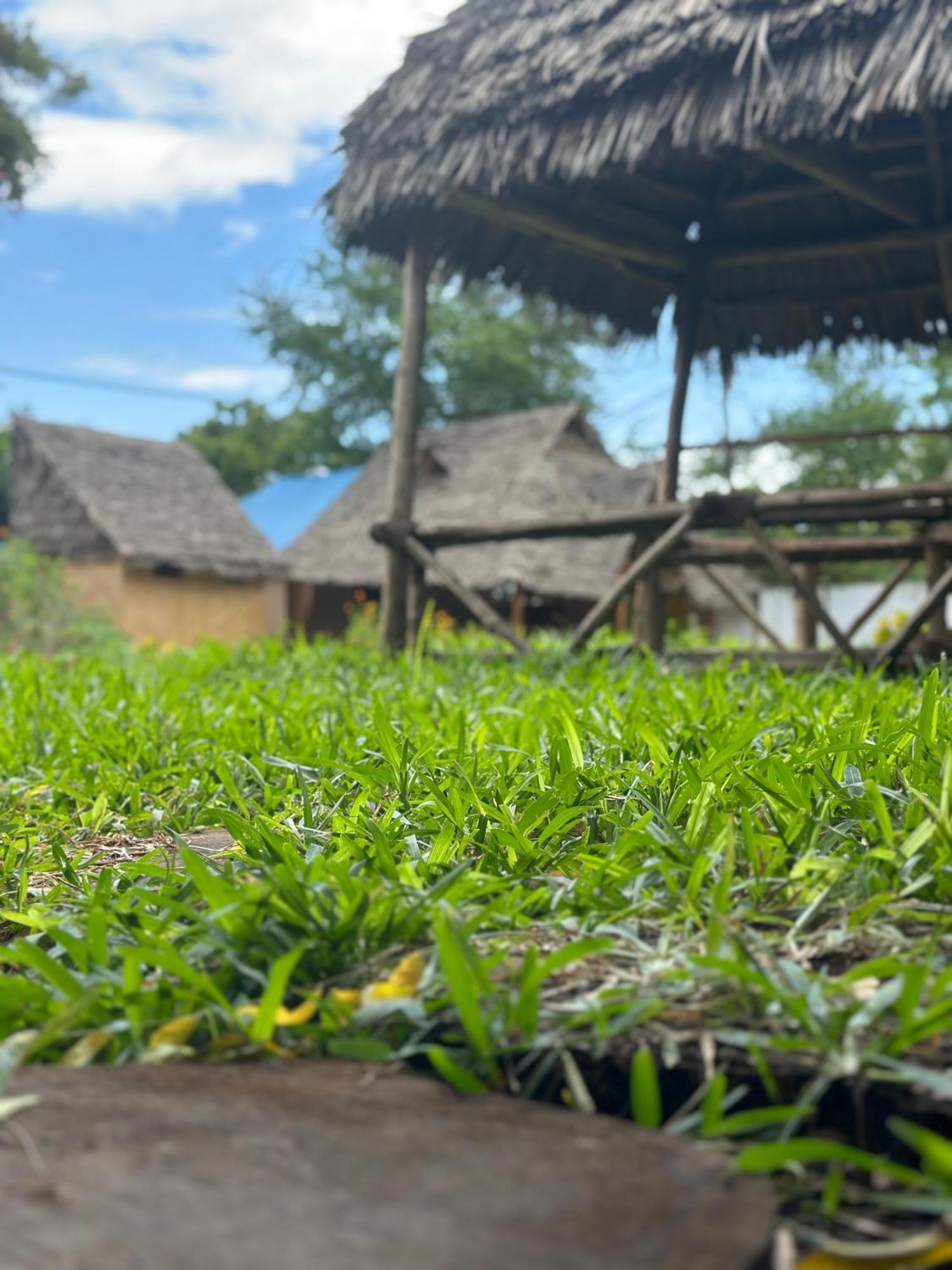 Zanzigo Hotel Nungwi Bagian luar foto